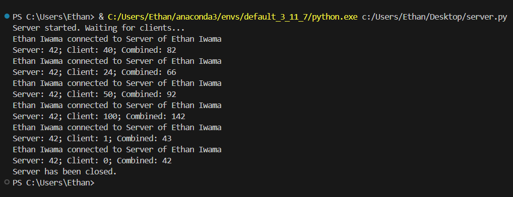 Network Sockets